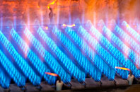 Chaldon gas fired boilers